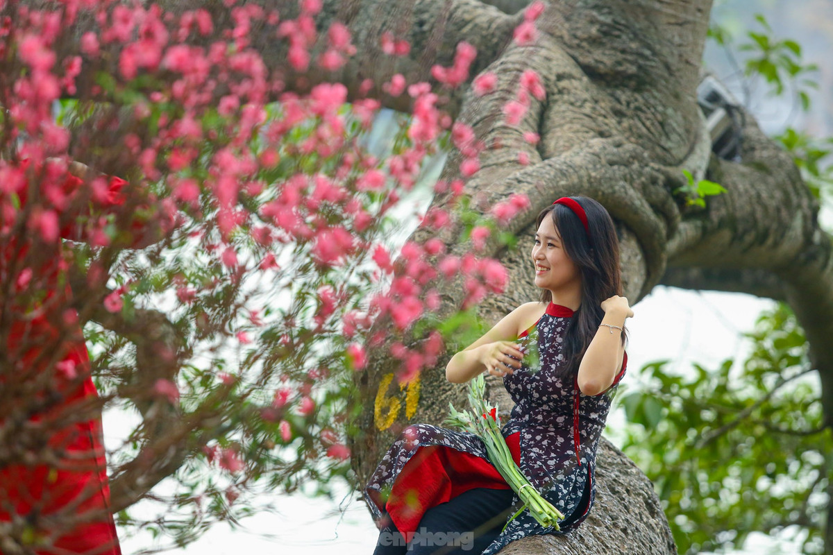 Ho Hoan Kiem ruc ro sac hoa xuan-Hinh-15