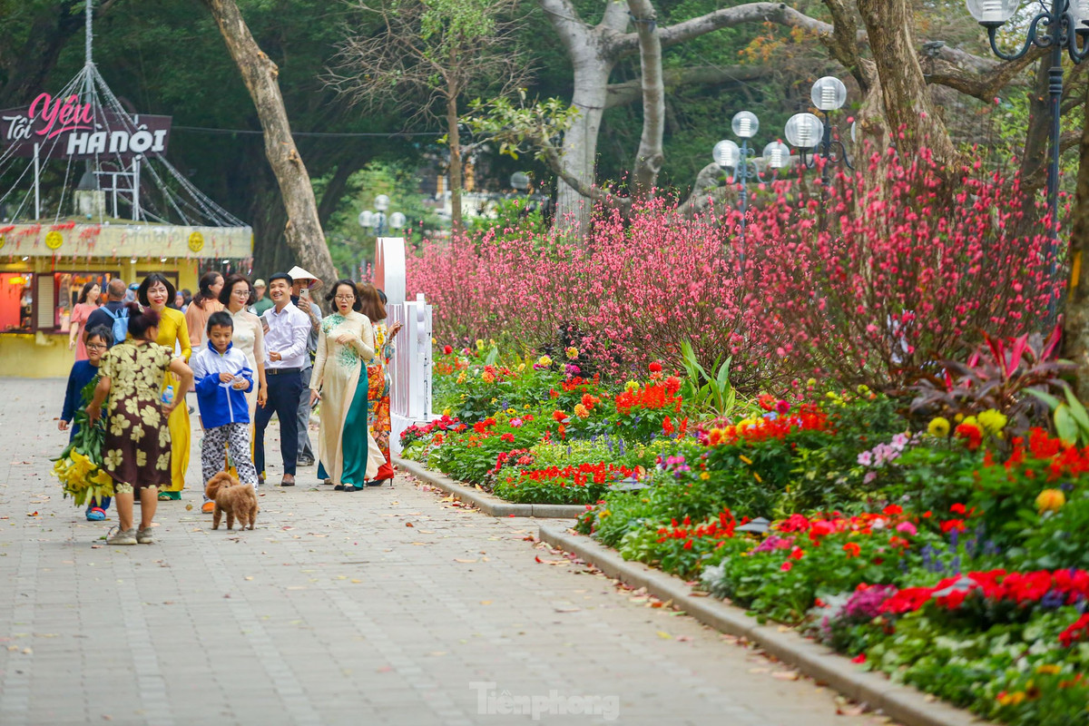 Ho Hoan Kiem ruc ro sac hoa xuan-Hinh-11