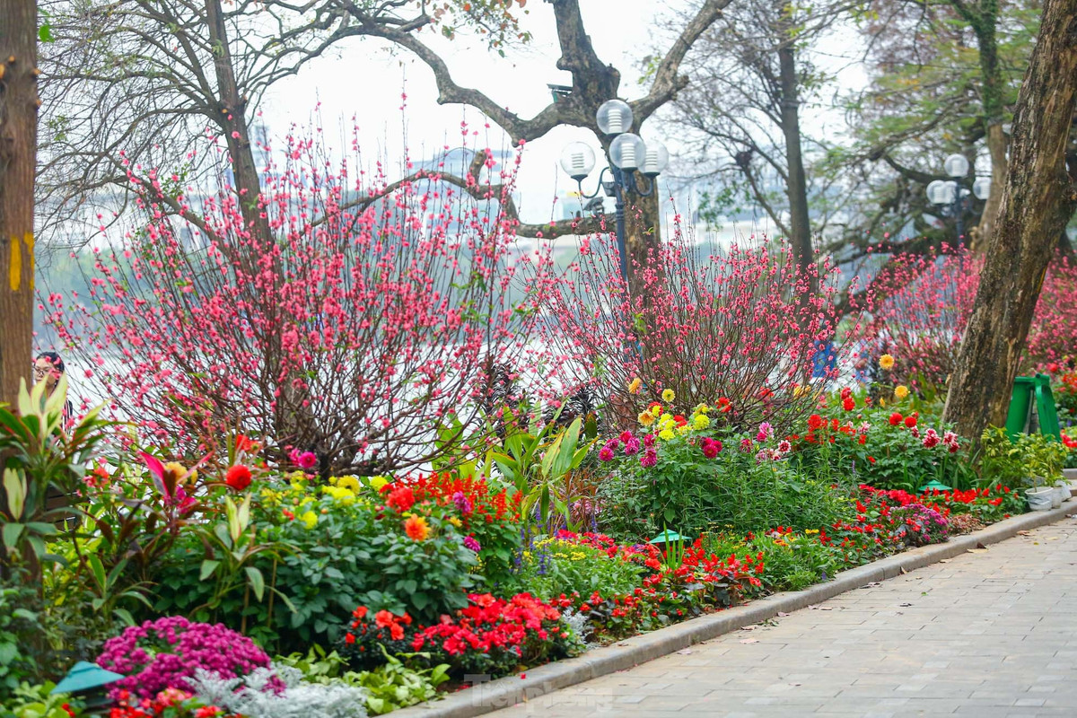 Ho Hoan Kiem ruc ro sac hoa xuan