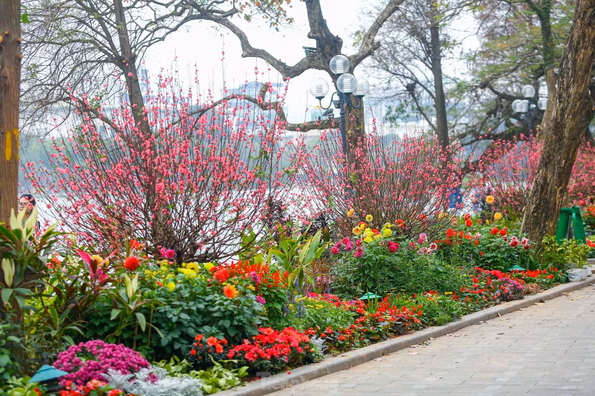 Ho Hoan Kiem ruc ro sac hoa xuan