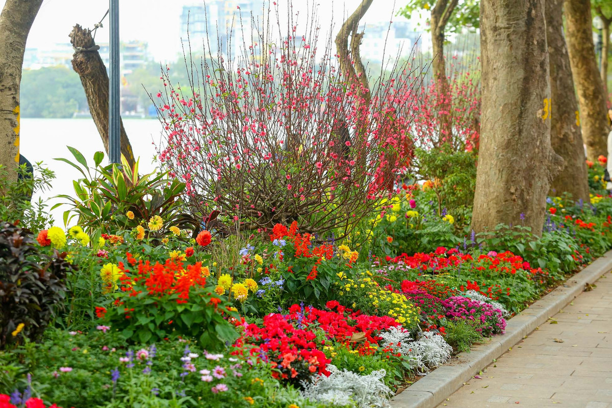 Ho Hoan Kiem ruc ro sac hoa xuan-Hinh-3