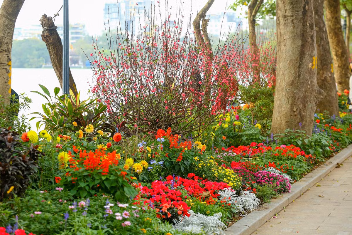 Ho Hoan Kiem ruc ro sac hoa xuan-Hinh-3