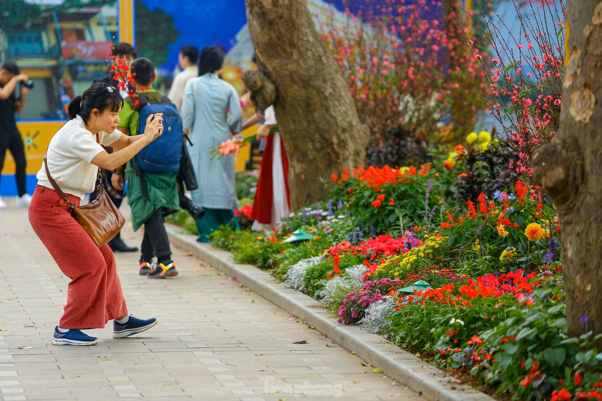 Ho Hoan Kiem ruc ro sac hoa xuan-Hinh-12