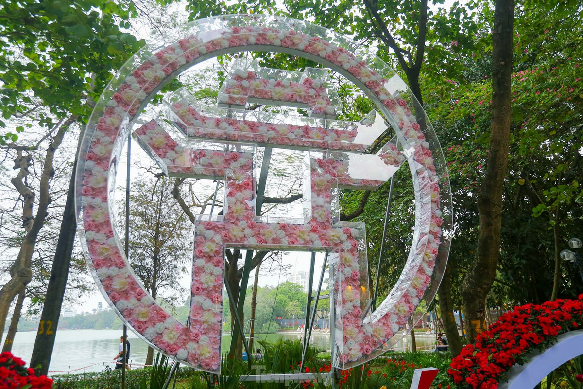 Ho Hoan Kiem ruc ro sac hoa xuan-Hinh-27