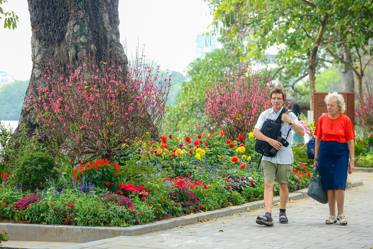 Ho Hoan Kiem ruc ro sac hoa xuan-Hinh-4