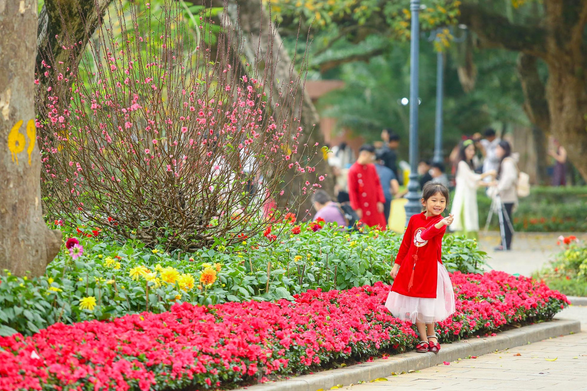 Ho Hoan Kiem ruc ro sac hoa xuan-Hinh-18