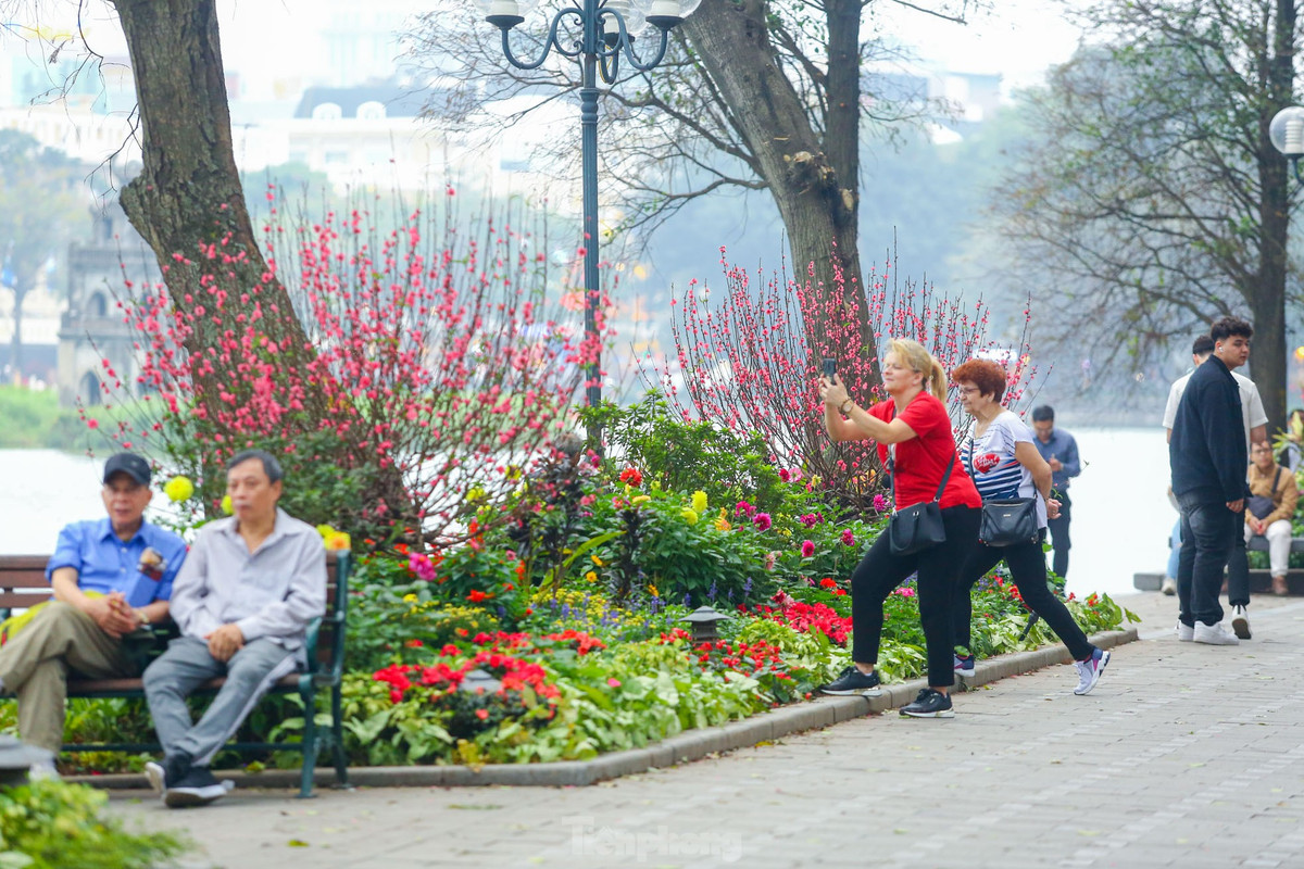 Ho Hoan Kiem ruc ro sac hoa xuan-Hinh-13
