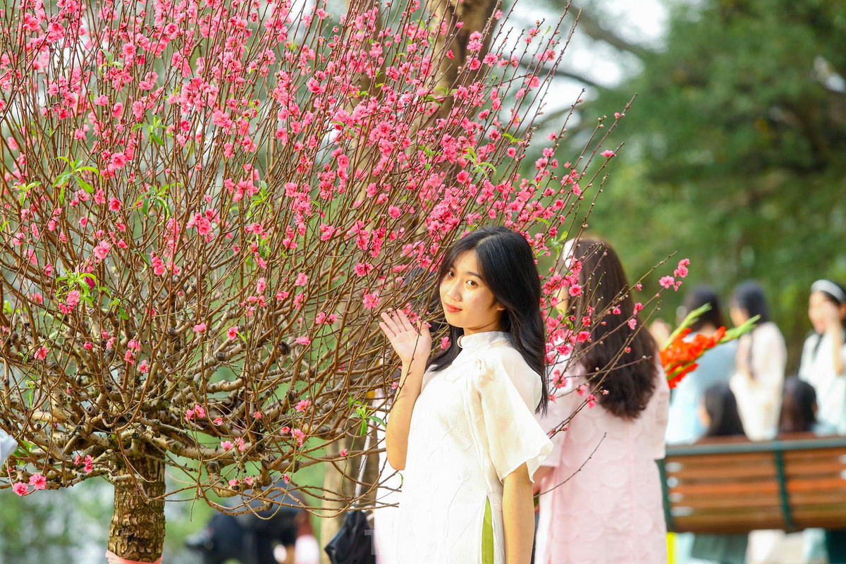 Ho Hoan Kiem ruc ro sac hoa xuan-Hinh-23