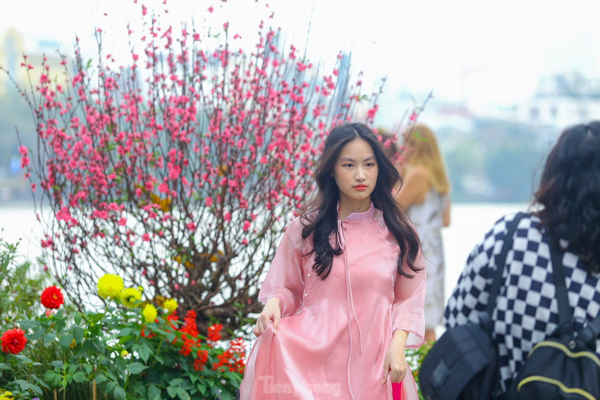 Ho Hoan Kiem ruc ro sac hoa xuan-Hinh-16