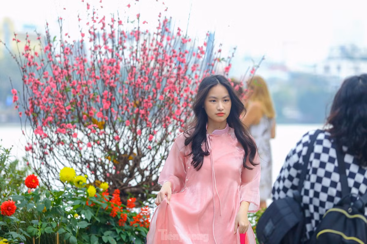 Ho Hoan Kiem ruc ro sac hoa xuan-Hinh-16