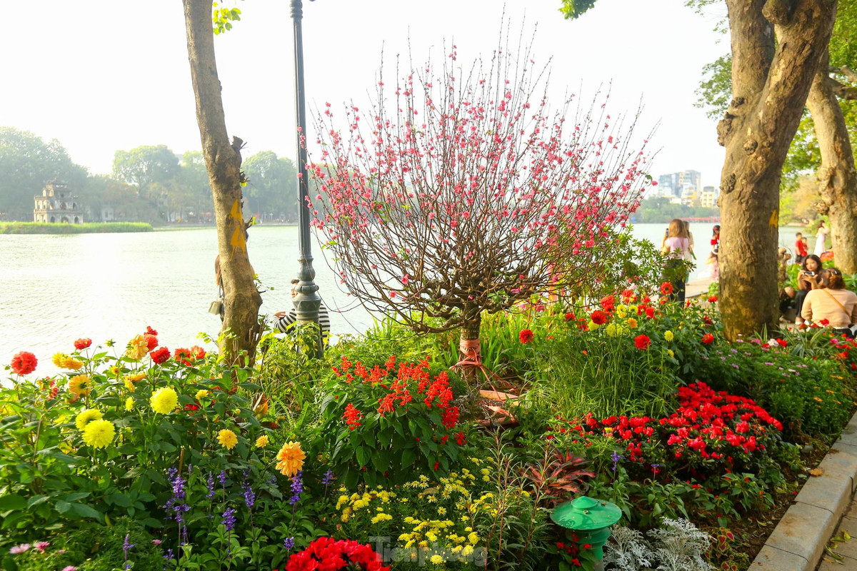 Ho Hoan Kiem ruc ro sac hoa xuan-Hinh-2