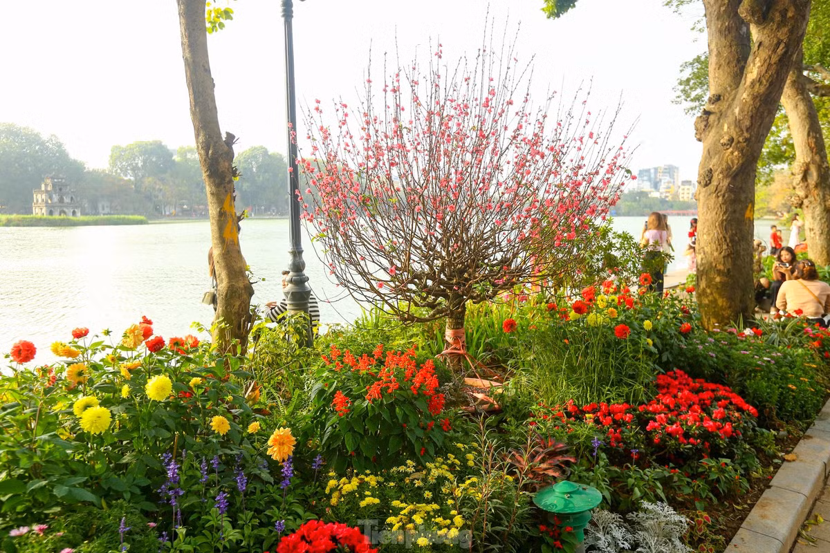 Ho Hoan Kiem ruc ro sac hoa xuan-Hinh-2