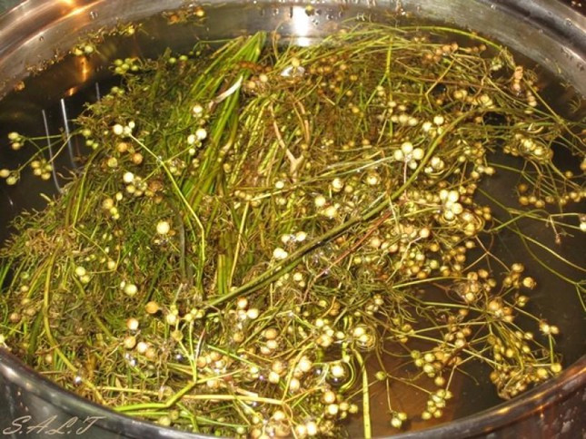 Tam la mui ngay 30 Tet la tuc le cua nguoi Viet nhung dai ky voi mot so nguoi-Hinh-2