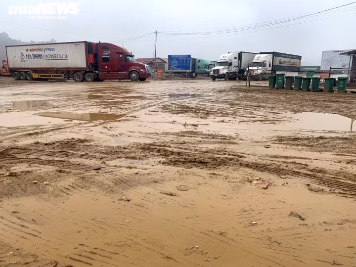 Xe hang tac tai cua khau Lang Son: Tai xe va vat, khong the ve an Tet-Hinh-10