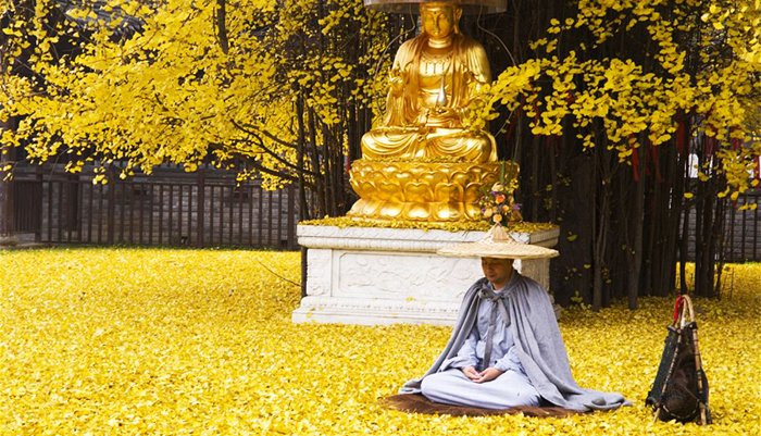 7 tang nghiep con nguoi de pham phai khien van khi, phuc bao tieu tan-Hinh-2