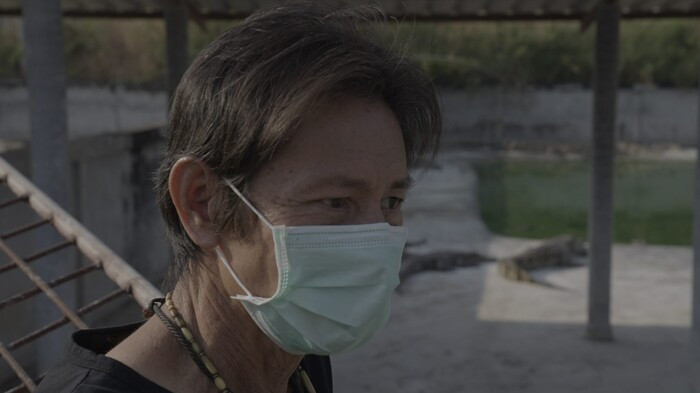 Gia thit lon tang cao ky luc, dan Thai Lan do xo tim mua thit ca sau