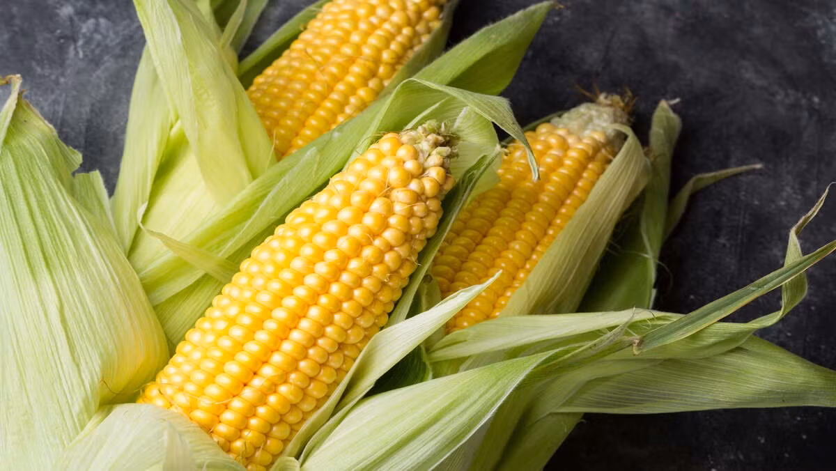 Muon song tho, dung bo qua 3 loai than duoc tu nhien nay-Hinh-3