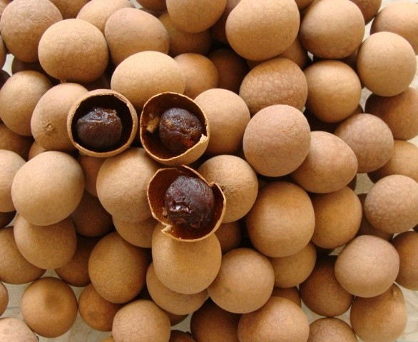 Muon song tho, dung bo qua 3 loai than duoc tu nhien nay-Hinh-2