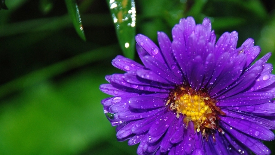 Tre sinh vao khung gio nay, so menh vang muoi, cong danh bay bong