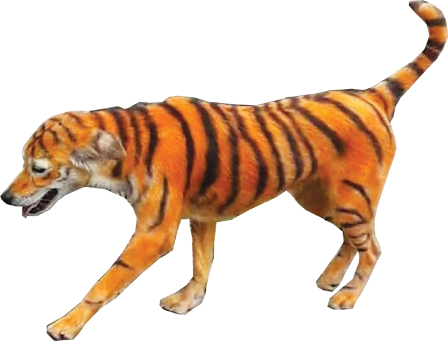 San tim “dau vet” cho Ho o... Ha Noi-Hinh-3