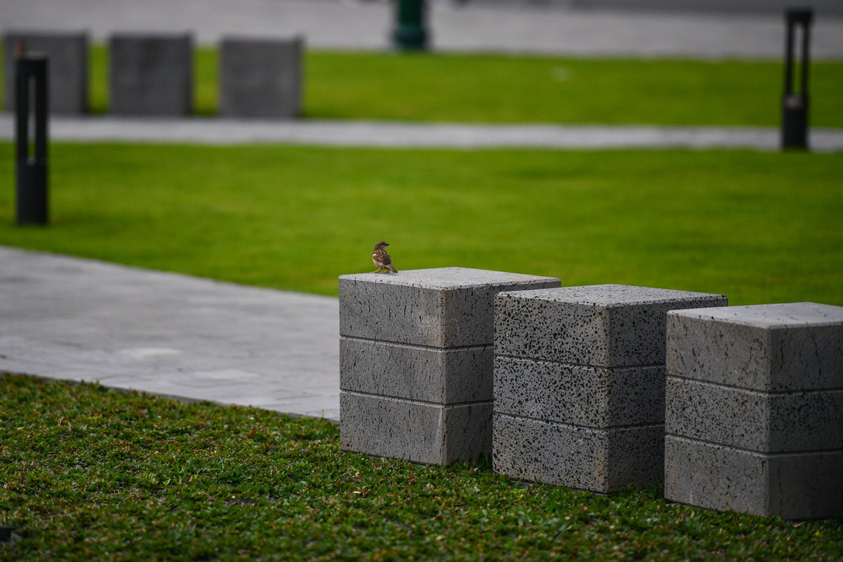 Khu vực đường đi được thi công đệm cát, lát đá bazan tự nhiên. Các bục đá được bố trí khắp công viên làm chỗ ngồi cho người dân.