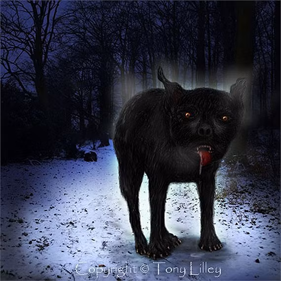 Ở vùng Dartmoor, người ta khẳng định chó ma chính là hồn ma của điền chủ Cabell tàn độc, người đã bán linh hồn cho quỷ dữ. Điền chủ Cabell đã làm nhiều điều ác để kiếm tiền. Khi chết, gã biến thành chó ma để trông giữ tài sản.