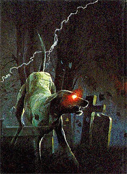 Câu chuyện về chó ma thường được kể nhiều ở những khu vực có đường xe lửa, nghĩa địa, cánh rừng hoang vắng, bìa làng và đặc biệt ở pháp trường.