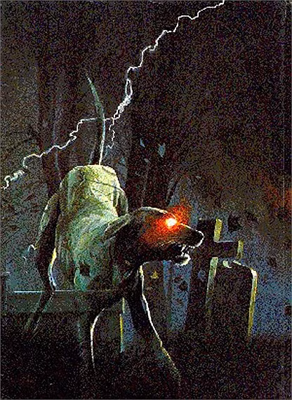 Câu chuyện về chó ma thường được kể nhiều ở những khu vực có đường xe lửa, nghĩa địa, cánh rừng hoang vắng, bìa làng và đặc biệt ở pháp trường.