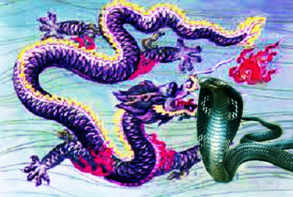 Mơ thấy rắn hóa rồng là điềm báo bạn sẽ được quý nhân phù trợ.