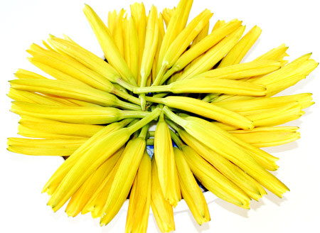 Hoa hiên (rau kim châm) tươi. Trong hoa hiên có chứa độc tố kiềm colchicine sau khi vào cơ thể nó bị oxy hóa chuyển thành hợp chất độc hại. Sau khi ăn sẽ gây ra các triệu chứng tương tự như viêm dạ dày cấp, viêm ruột cấp tính rất dễ chuẩn đoán sai. Rau kim châm khô, trong quá trình chế biến đã được ngâm nước, như vậy chất colchicine đã được hòa tan gần hết, do đó không gây độc hại gì.