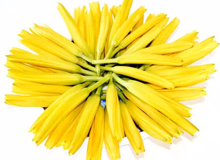 Hoa hiên (rau kim châm) tươi. Trong hoa hiên có chứa độc tố kiềm colchicine sau khi vào cơ thể nó bị oxy hóa chuyển thành hợp chất độc hại. Sau khi ăn sẽ gây ra các triệu chứng tương tự như viêm dạ dày cấp, viêm ruột cấp tính rất dễ chuẩn đoán sai. Rau kim châm khô, trong quá trình chế biến đã được ngâm nước, như vậy chất colchicine đã được hòa tan gần hết, do đó không gây độc hại gì.