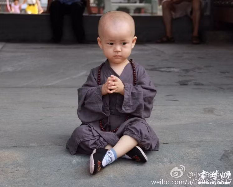 Chú “tiểu hòa thượng” này thuộc môn phái Võ Đang của Trung Quốc.