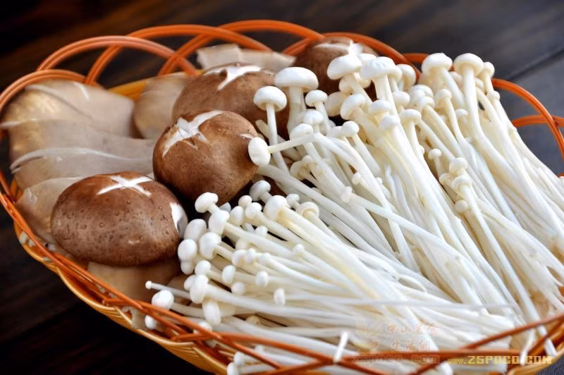 Sản sinh cơ bắp hồi phục các tế bào cần được nuôi dưỡng. Hàm lượng protein của nấm gấp 3-6 lần so với các loại trái cây và rau quả bình thường. Ngoài ra, nấm còn có đến 18 loại axit amin là nguồn gốc để sản sinh mô cơ và các tế bào trong cơ thể. Nấm có giá trị dinh dưỡng rất cao.