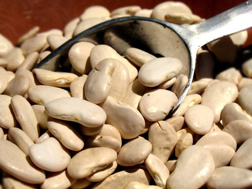 Đậu ván. Thành phần độc tố trong đậu ván là hợp chất saponin và chất ức chế trypsin (trypsin inhibitor). Những chất độc này sau khi bảo quản ở nhiệt độ thấp trong tủ lạnh thì độc tính của nó càng rõ rệt hơn, cao hơn. Khi xào nấu chưa chín hẳn (màu sắc vẫn xanh) ăn vào chắc chắn sẽ trúng độc. Sau khi ăn khoảng 1 – 4 giờ đồng hồ, sẽ có triệu chứng hoa mắt, váng đầu, lợm giọng, nôn ói, sau đó đau quặn bụng và tiêu chảy. Trước khi nấu bạn nên luộc chín vớt cái đổ nước, đem tráng qua nước lã xong mới dùng để xào nấu, sẽ không trúng độc.