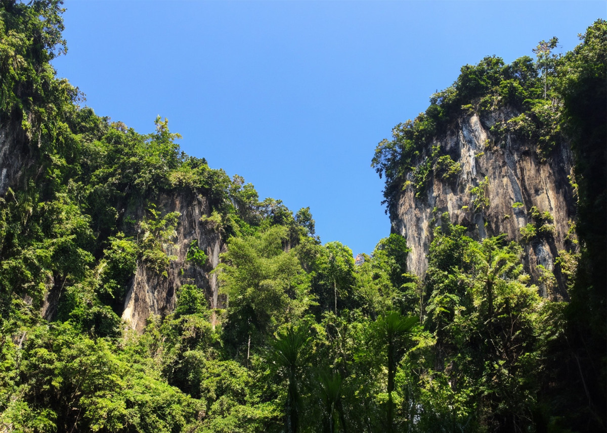 Kham pha thien nhien hoang da tai khu rung hang trieu nam tuoi-Hinh-4