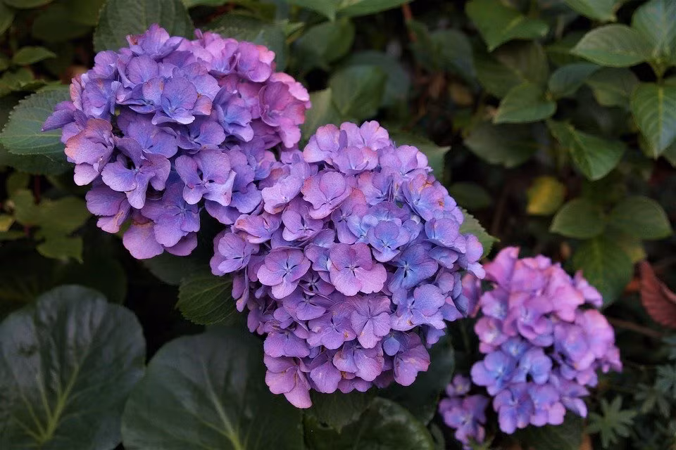 Nguoi sinh ngay Am lich nay tai nang khiem nhuong, lam giau tham lang-Hinh-2