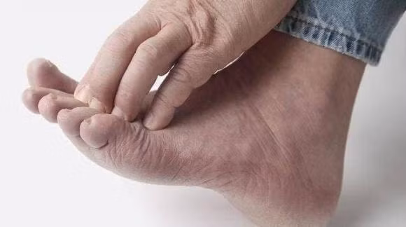 Kien tri ngam chan voi giam trang moi ngay, loi ich bat ngo-Hinh-3