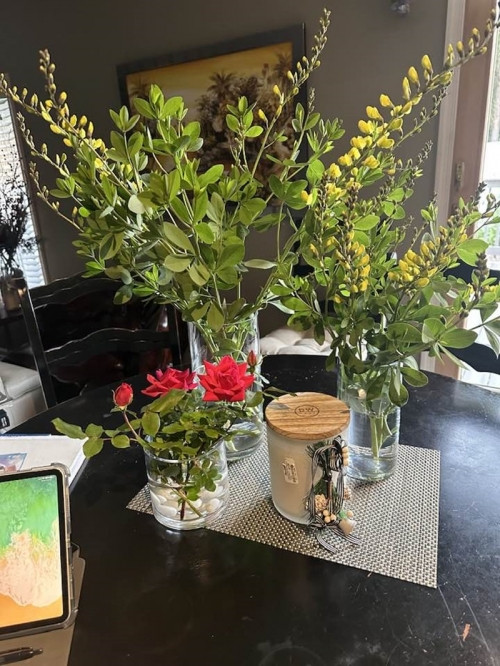 à thổ lộ thích nhất là mùa xuân và hè cứ ra vườn hái hoa vào cắm. "Liên Phạm mang bệnh yêu hoa", bà dí dỏm.