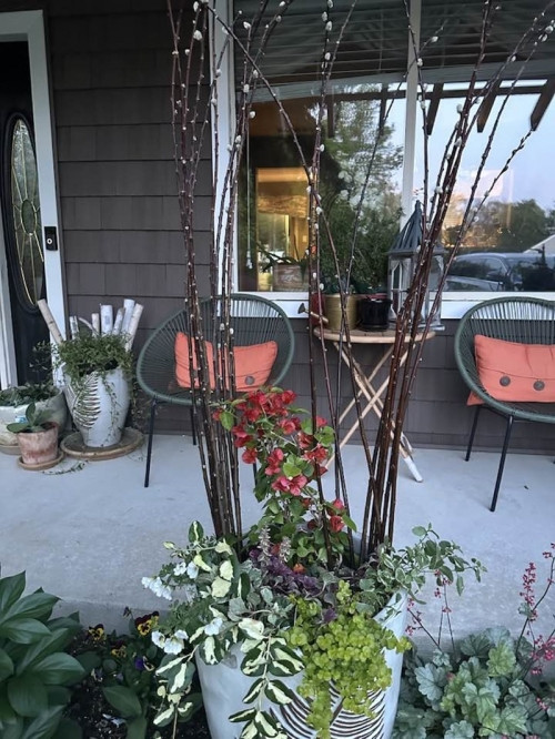 ột góc không gian sống với cây và hoa của bà Liên Phạm làm nhiều người cảm nhận được sự thư thái, an nhiên.