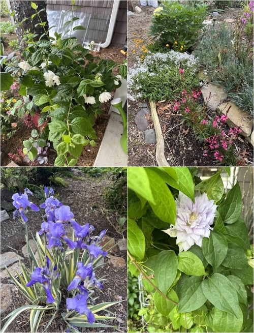 à tâm sự: "Hạnh phúc mỗi buổi sáng thức dậy và được làm những công việc mình say đắm. Thích thú thật. Rất yêu cuộc sống này".