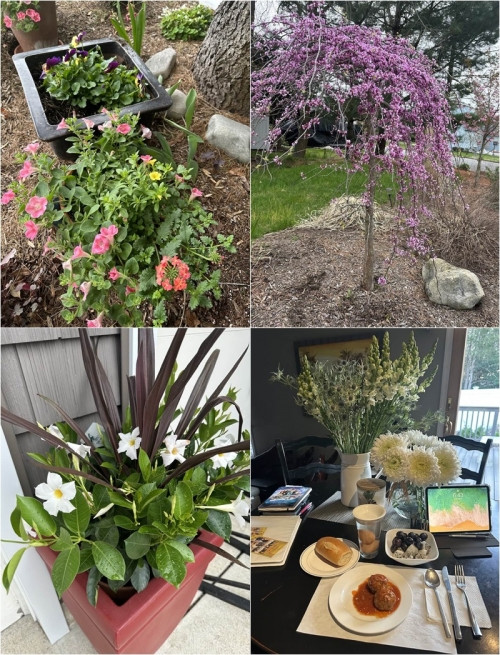 oa trong vườn, ngoài ngõ, cả chậu cây nhỏ xinh và những lọ hoa bung nở trong nhà cũng khiến người đàn bà quyền lực nhớ nhung khi đi xa. Về phần Đàm Vĩnh Hưng, ngoài biệt thự 60 tỉ đồng tại Việt Nam, Đàm Vĩnh Hưng cũng còn có căn biệt thự triệu đô ở California, Mỹ với thiết kế cổ kính, sang trọng.