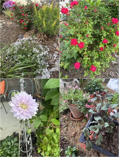 tuổi U70, bà Liên Phạm vẫn tham gia hoạt động trong giới nghệ thuật, đồng thời cũng dành nhiều thời gian tận hưởng bên gia đình. Bà có một căn nhà với không gian rất xinh ở Mỹ.