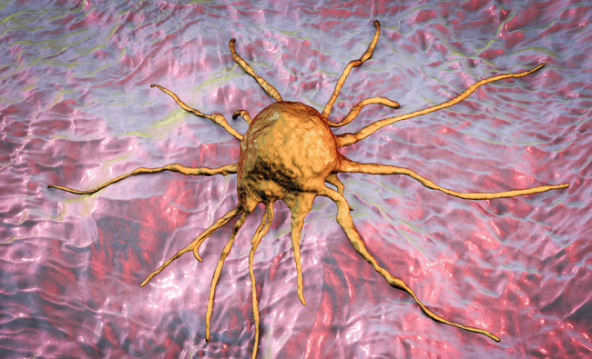 4 so thich an uong doc hai co nguy co dan den ung thu-Hinh-3