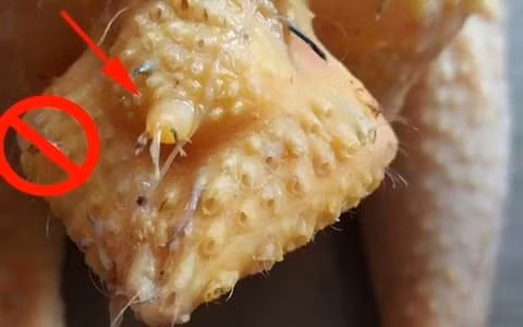 Mua thit, ca o cho, gap nhung bo phan nay re cung dung mua-Hinh-6