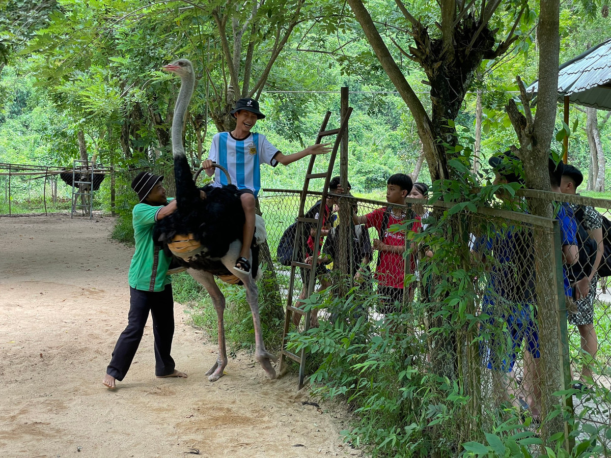 Du khách trải nghiệm cưỡi đà điểu.