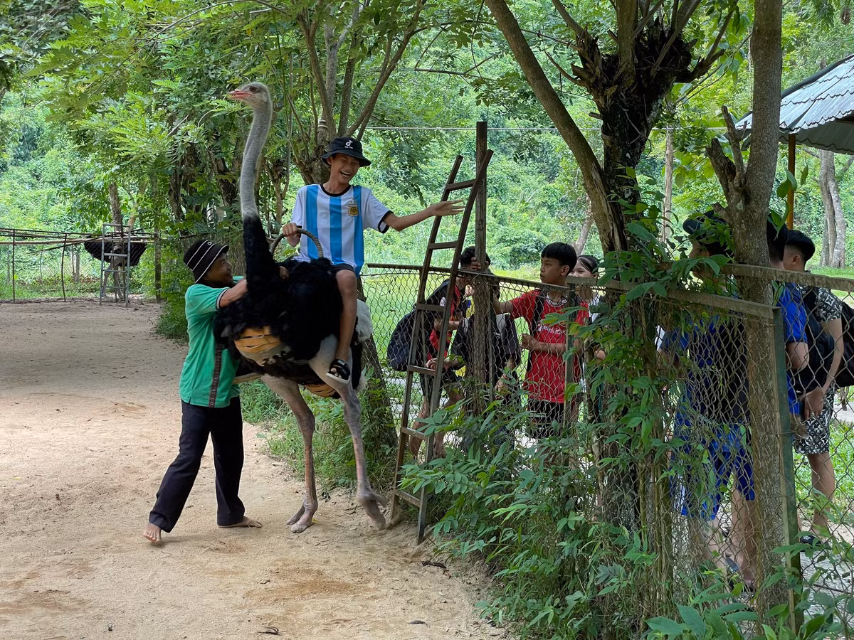 Du khách trải nghiệm cưỡi đà điểu.