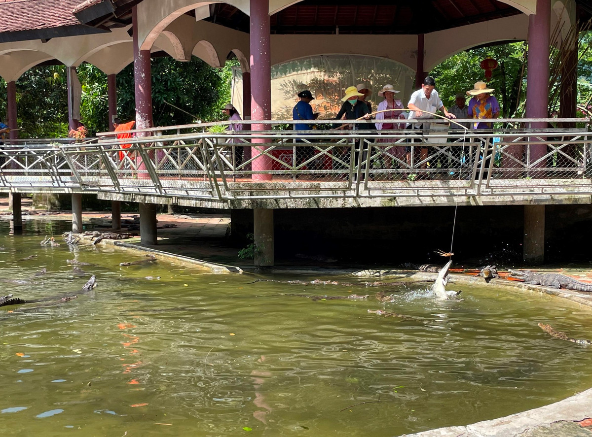 Dịch vụ tham quan, câu cá sấu.