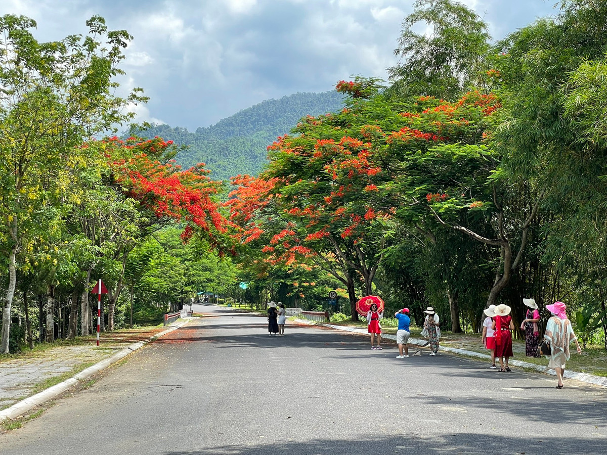 Cảnh sắc nên thơ của Công viên du lịch Yangbay, Yang Bay hấp dẫn du khách bởi vẻ hoang sơ của vùng rừng núi bạt ngàn cỏ, cây và thác nước, không khí thoáng đãng.