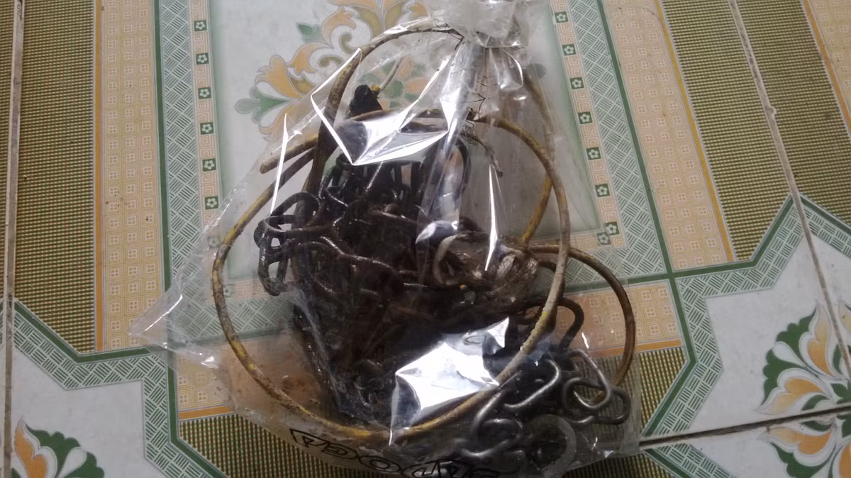 Sợi xích chó nhiễm điện giật chết người.