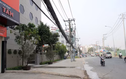 Dai gia mat tui xach dung 1,5 ty trong o to